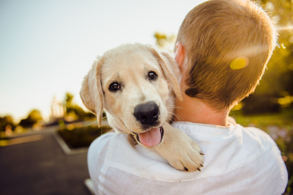 10 Tips For Bonding With Your New Dog