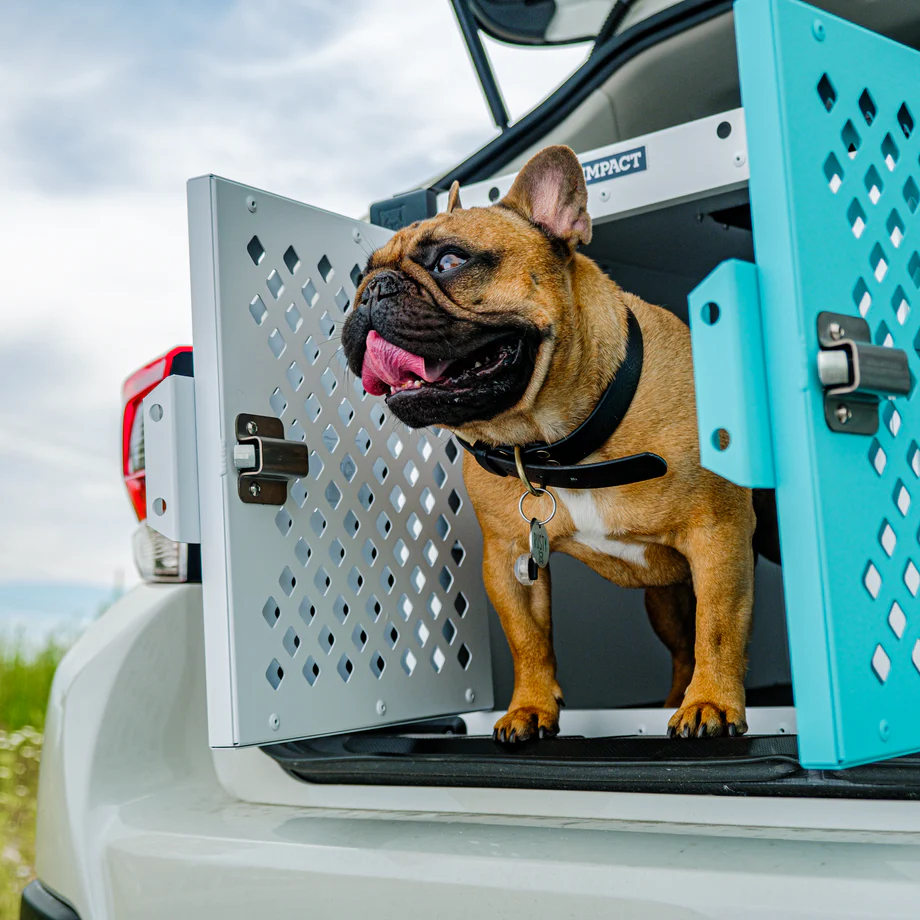 Choosing the Right Dog Crate For Fishing Trips