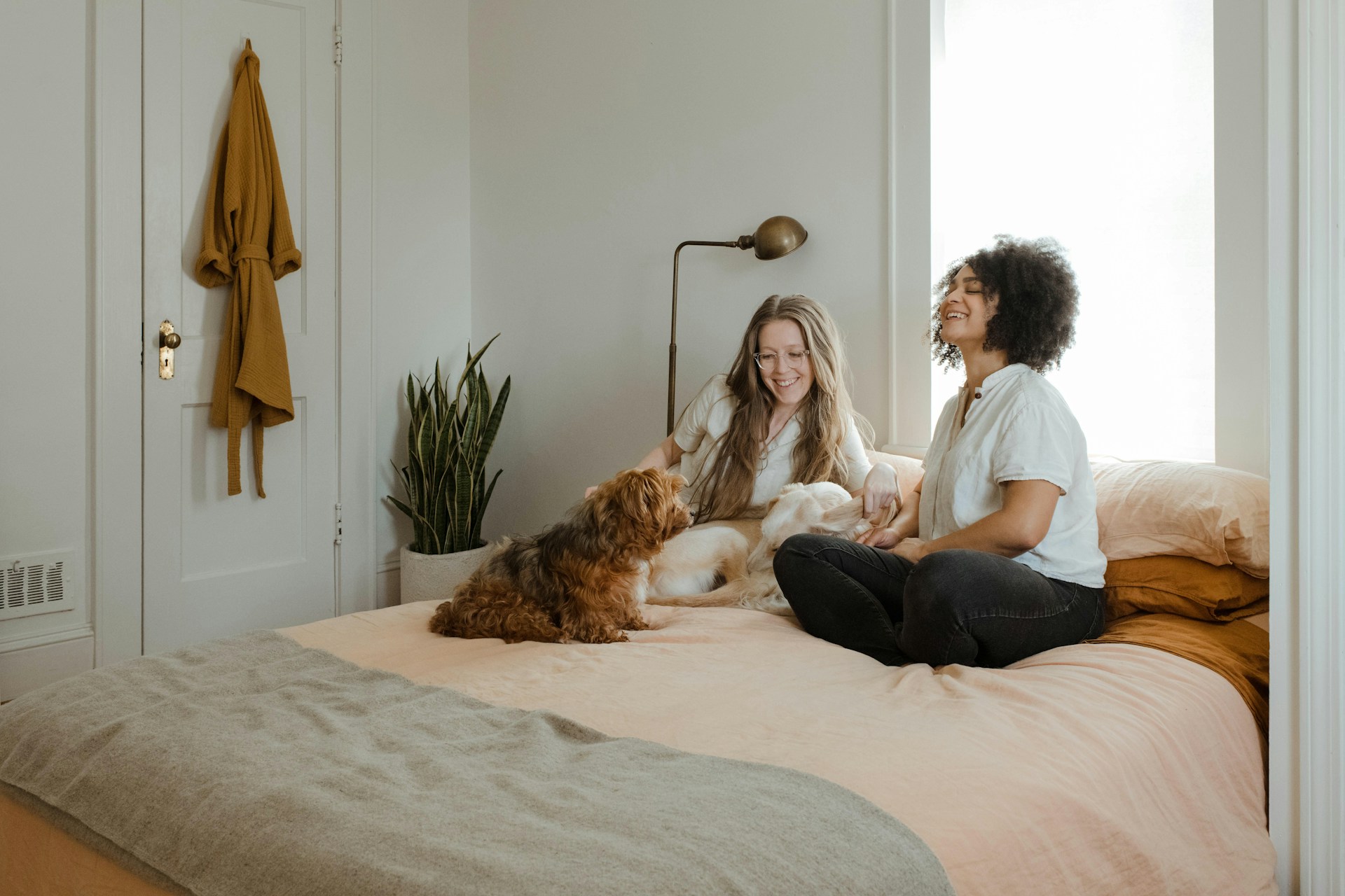 7 Day Guide To Switching Dog Food Safely