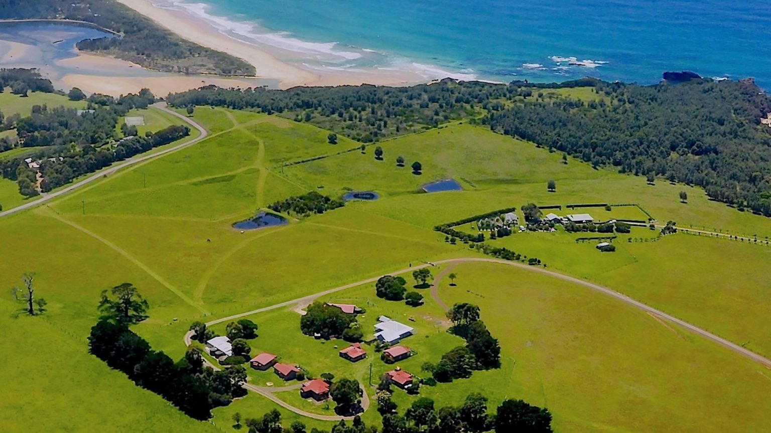Pet Friendly South Coast NSW