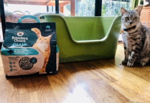 Choosing The Best Kitty Litter
