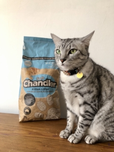 Soft Chandler