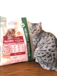 Trouble And Trix Cat Cherry Litter