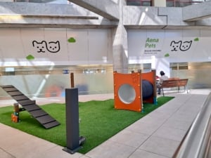 8 Pet friendly airports