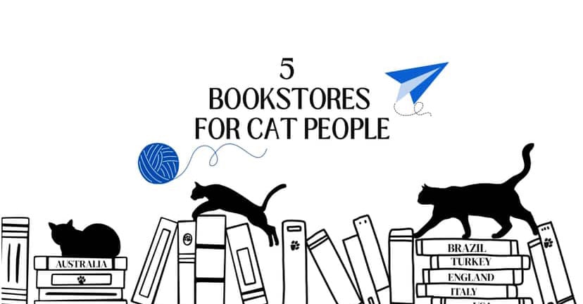 5 Bookstores For Cat People