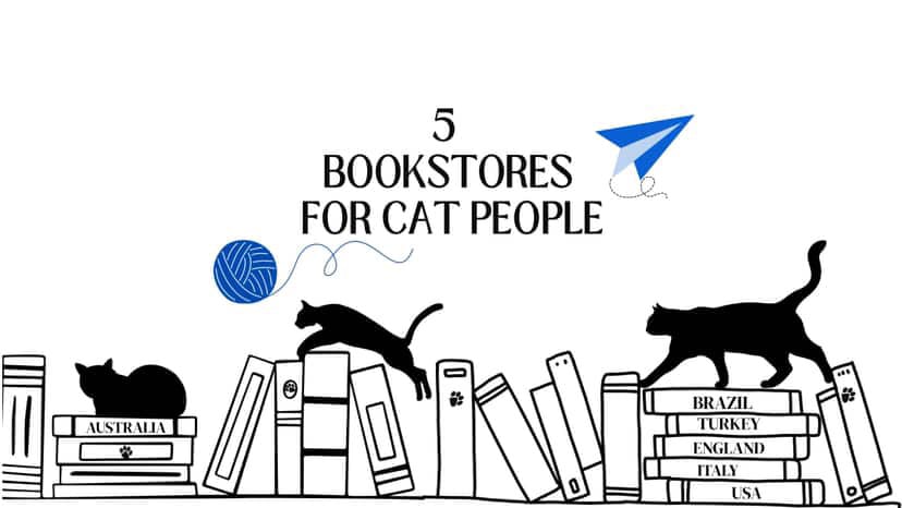 5 Bookstores For Cat People