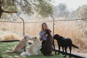 Top 5 Mistakes To Avoid When Travelling With Your Dog In Australia 3