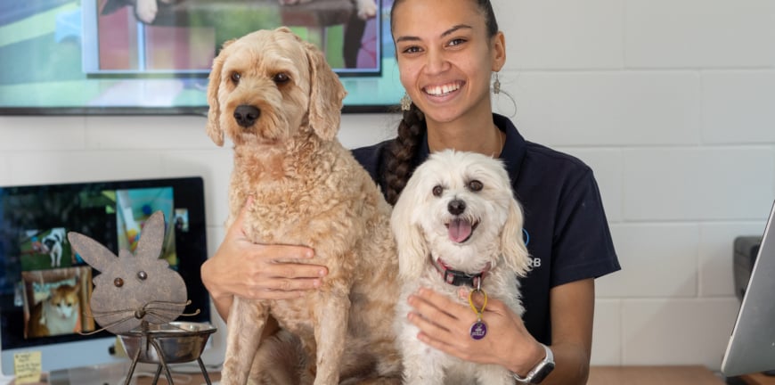 Top 5 Mistakes To Avoid When Travelling With Your Dog In Australia