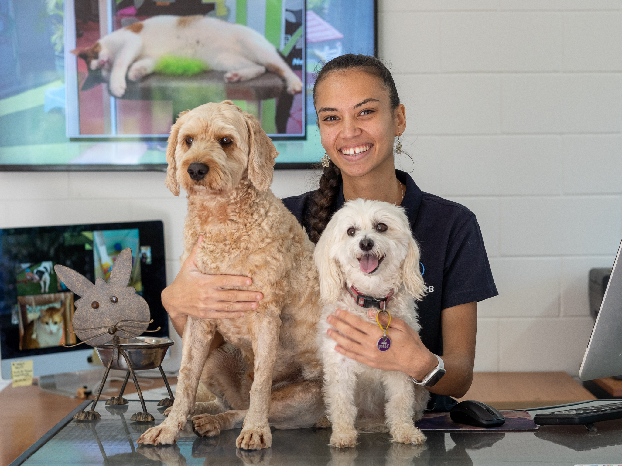 Top 5 Mistakes To Avoid When Travelling With Your Dog In Australia