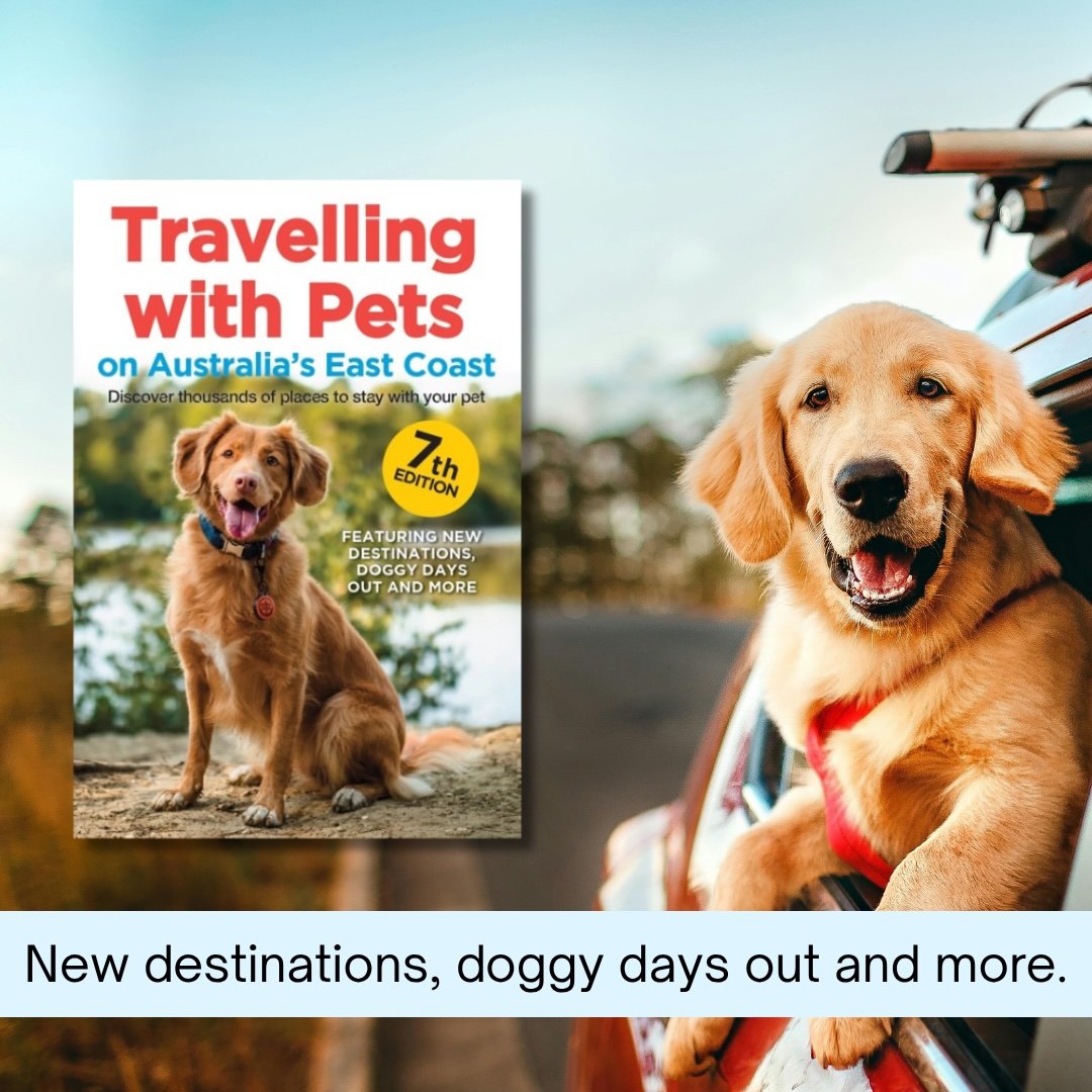 Ad Travel Book Pictures Carla 2025 9