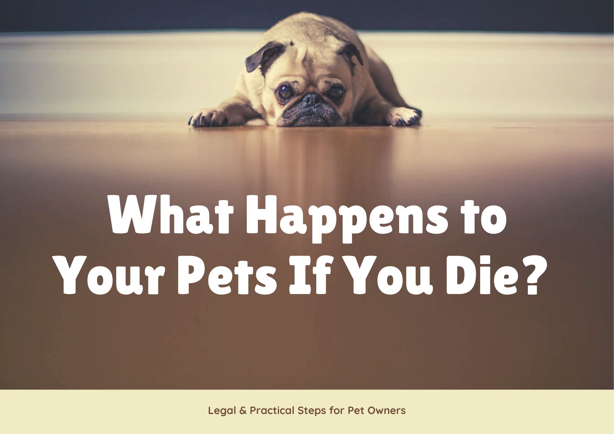What Happens To Your Pets If You Die?