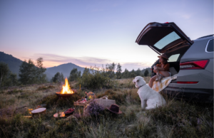 The Future of Dog-Friendly Travel in Australia