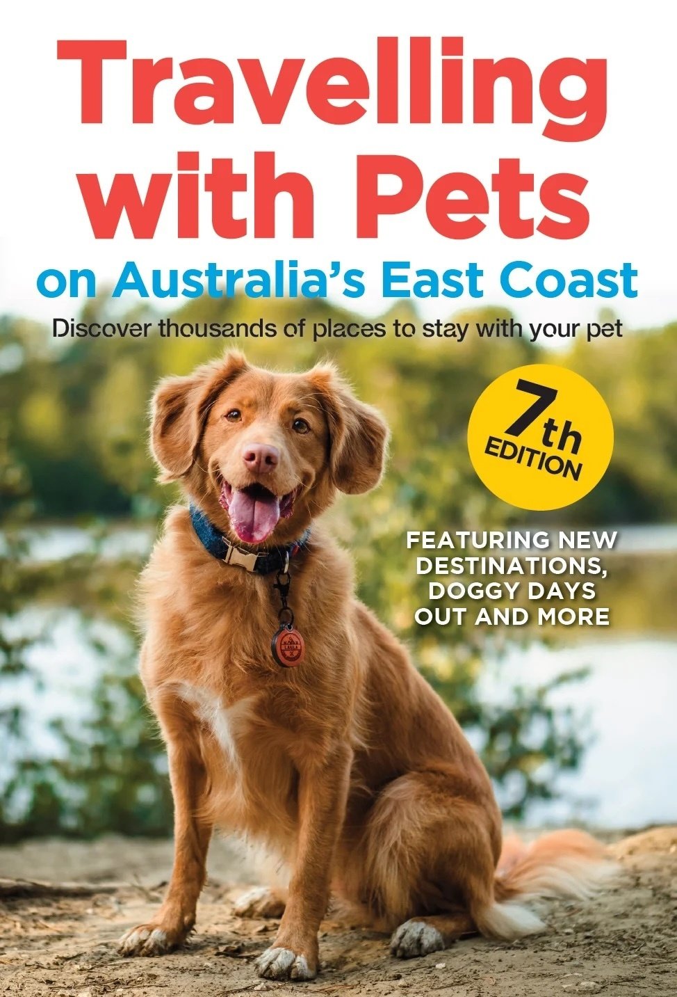 Dog E1703153562910