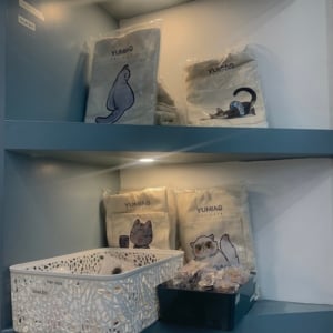 Yumiao Https :www.pet Friendlyaccommodation.com.au:when Cats And Coffee Meet 3 Cat Cafes In Sydney