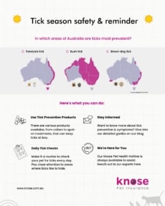 Tick Safety State By State Pet Friendly Summer Getaways + Booking Tips